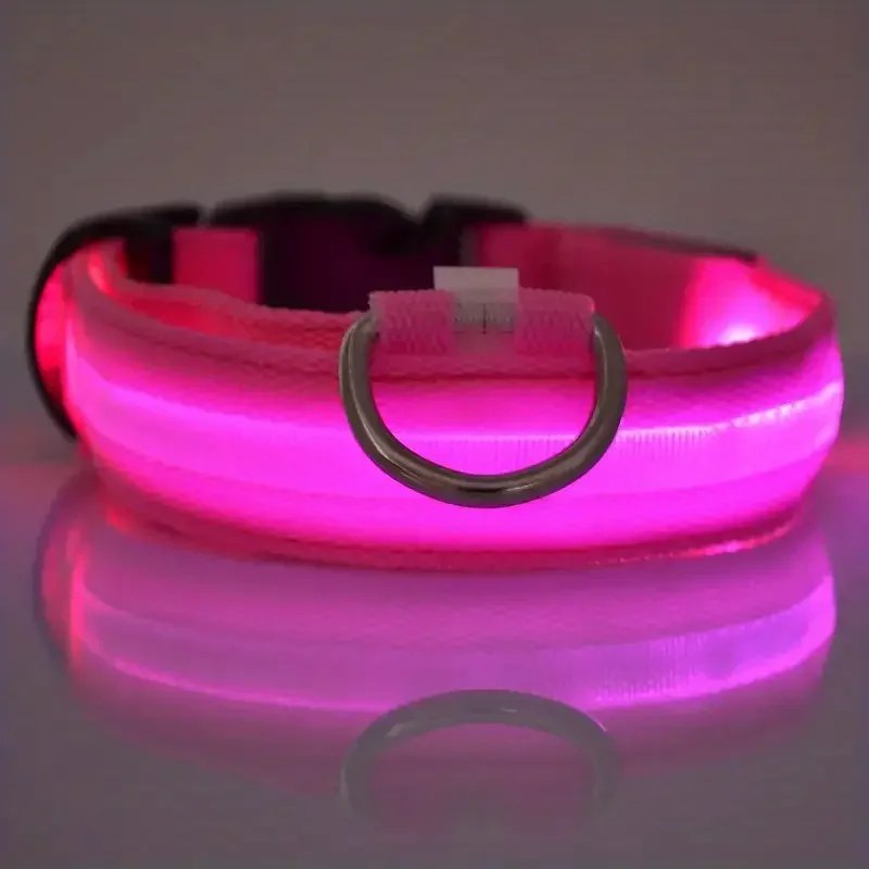 LED Nylon Dog Leash & Collar LED Nylon Dog Leash & Collar