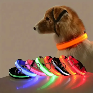 LED Nylon Dog Leash & Collar - Image 1