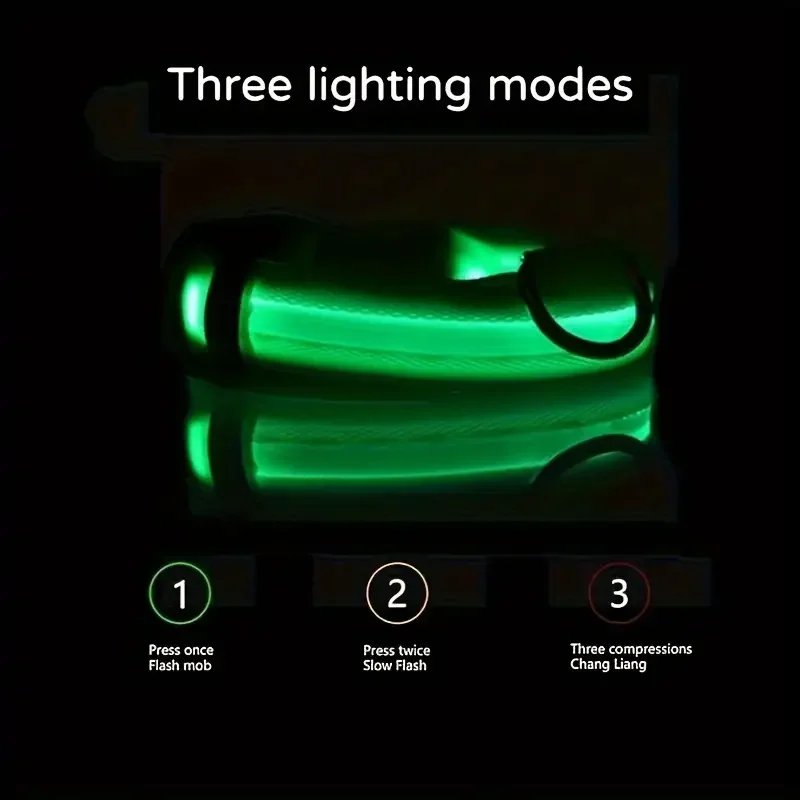 LED Nylon Dog Leash & Collar LED Nylon Dog Leash & Collar