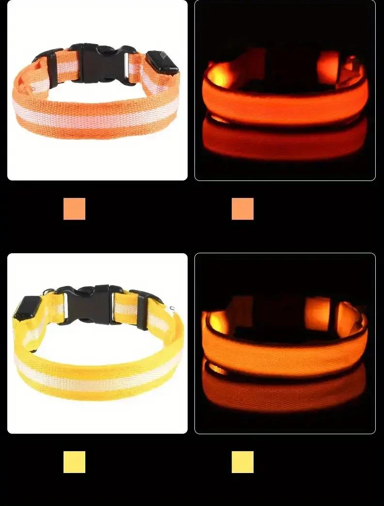 LED Nylon Dog Leash & Collar LED Nylon Dog Leash & Collar