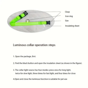 LED Nylon Dog Leash & Collar - Image 3