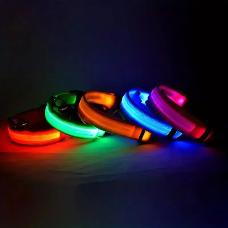 LED Nylon Dog Leash & Collar LED Nylon Dog Leash & Collar