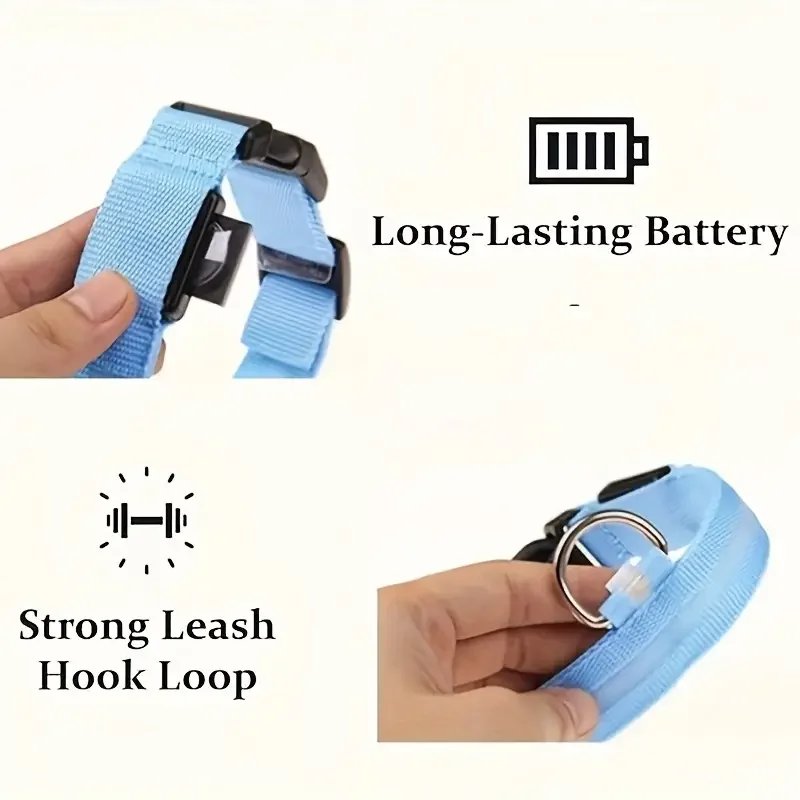 LED Nylon Dog Leash & Collar LED Nylon Dog Leash & Collar