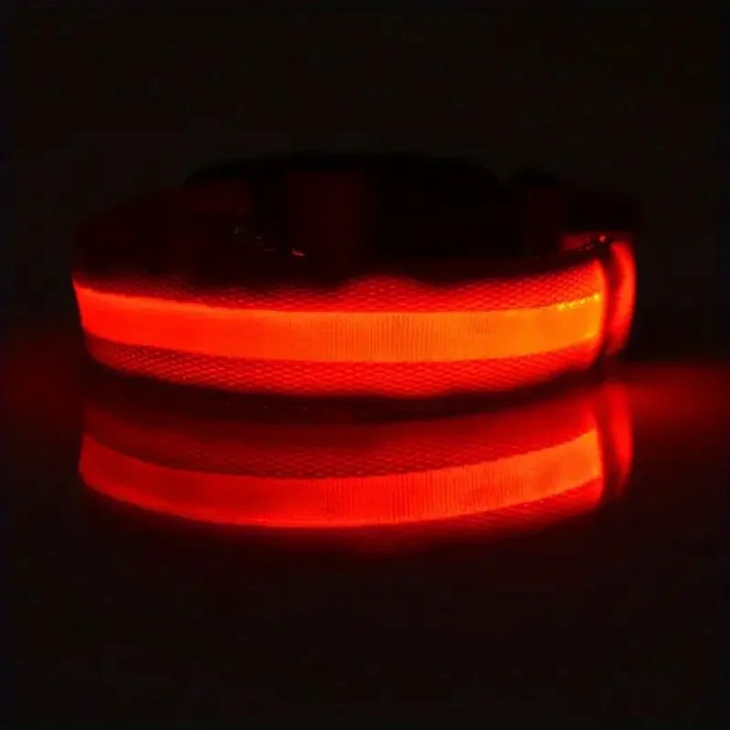 LED Nylon Dog Leash & Collar LED Nylon Dog Leash & Collar