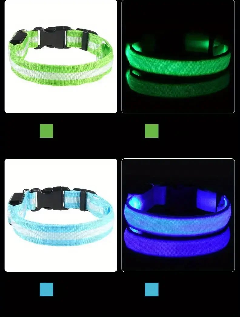 LED Nylon Dog Leash & Collar LED Nylon Dog Leash & Collar