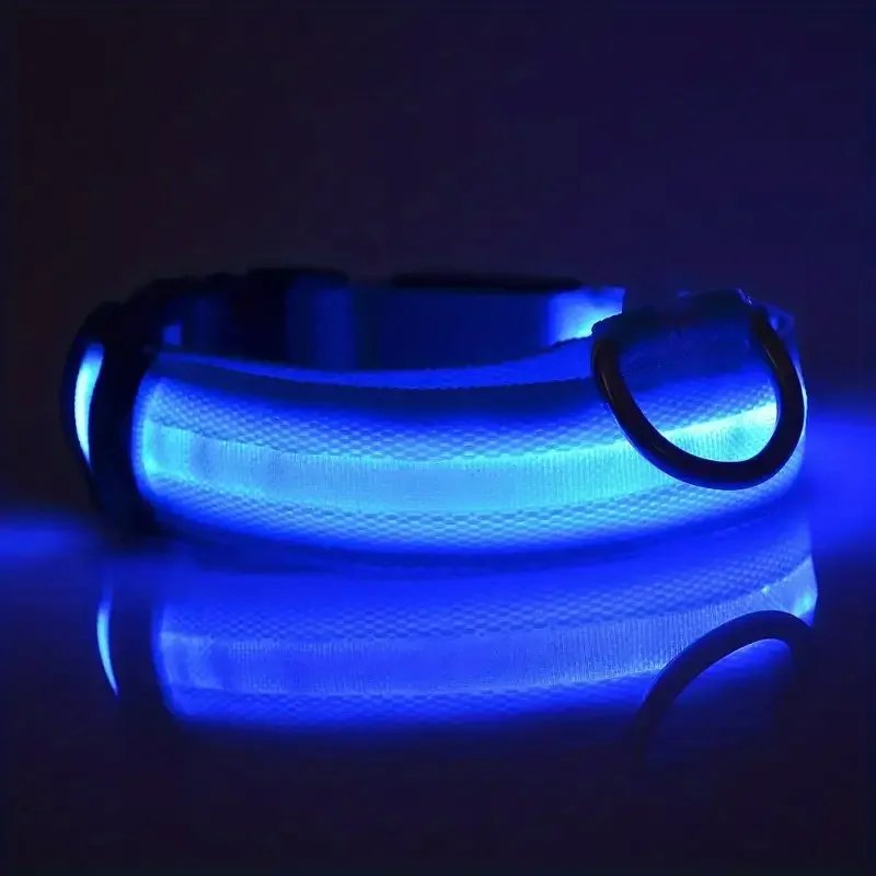 LED Nylon Dog Leash & Collar LED Nylon Dog Leash & Collar