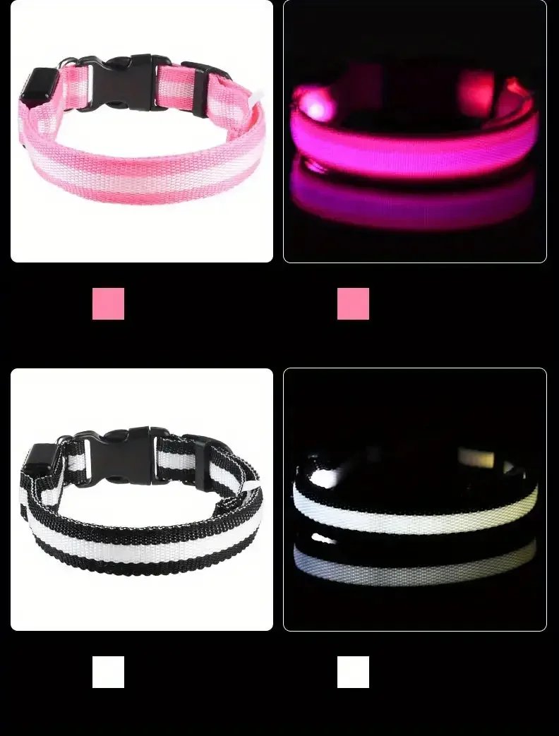 LED Nylon Dog Leash & Collar LED Nylon Dog Leash & Collar