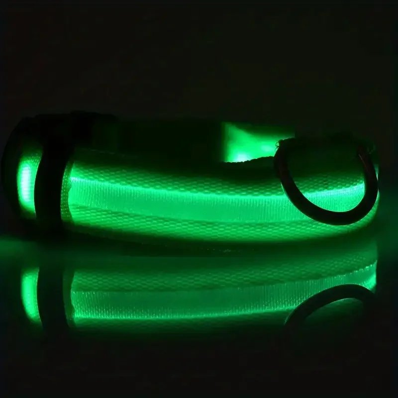 LED Nylon Dog Leash & Collar LED Nylon Dog Leash & Collar