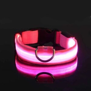 LED Nylon Dog Leash & Collar - Image 5