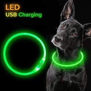 LED USB Rechargeable Dog Collar - Image 5