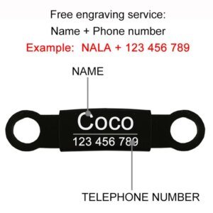 Personalized ID High-Quality Collar for Cats & Small Dogs - Image 3