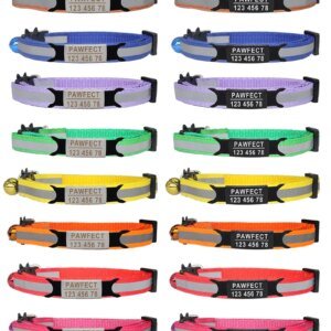Personalized ID High-Quality Collar for Cats & Small Dogs - Image 6