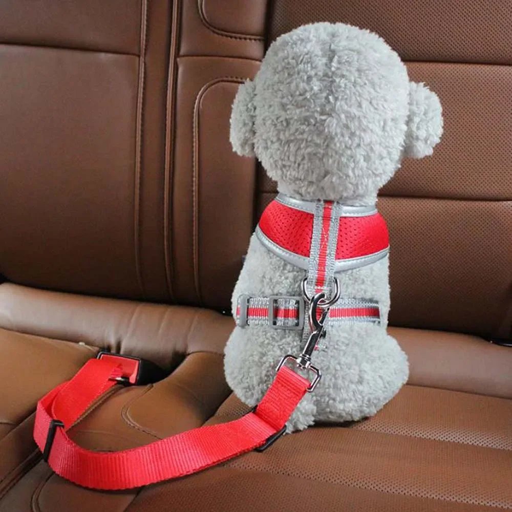 Adjustable Dog Seatbelt for Small & Medium Dogs